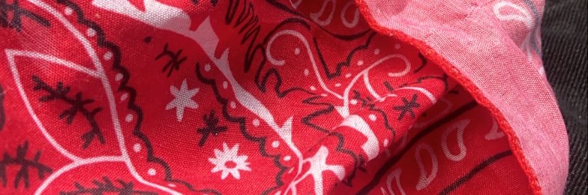Fastlifebabies's profile banner image