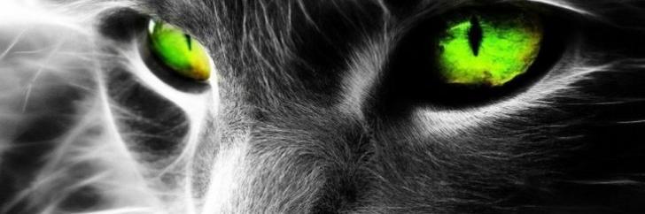 cris7anz1's profile banner image