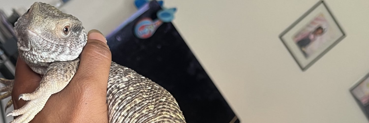 ToriaaaaK's profile banner image