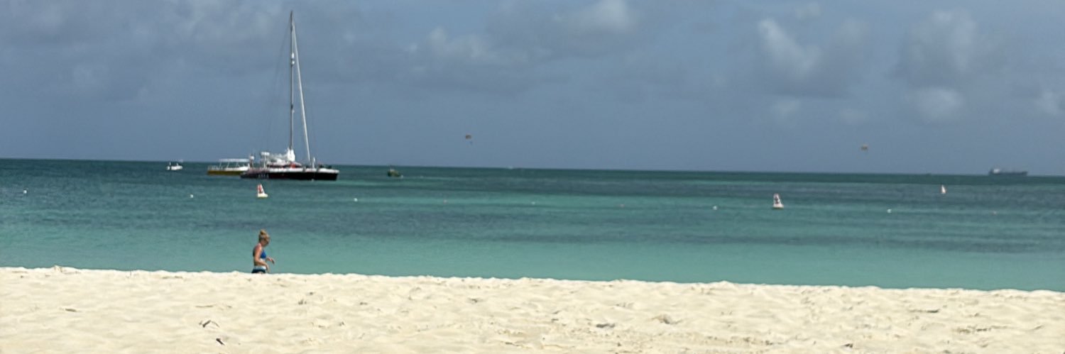 🏌🏼‍♂️RAMBLIN⚾️REBEL 🇺🇸 banner