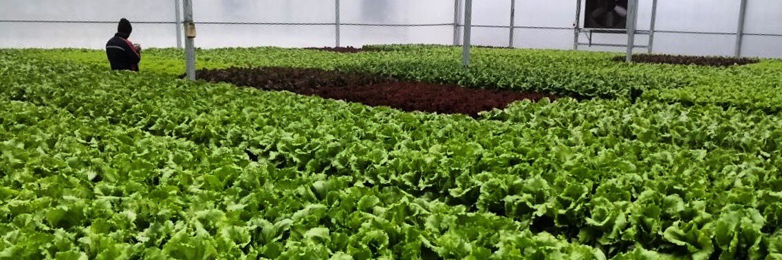 FutureFarms_In's profile banner image
