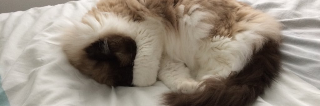 vghirl's profile banner image