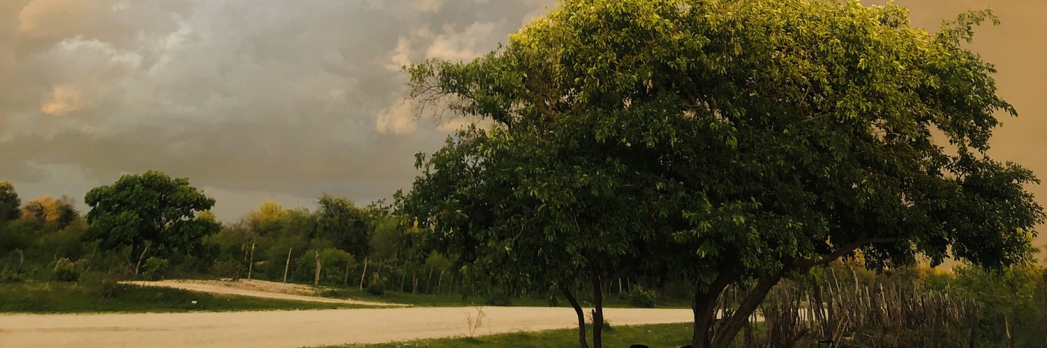 SShilimela's profile banner image