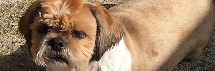 FarleyJ1's profile banner image