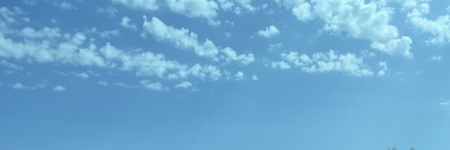 natster19's profile banner image