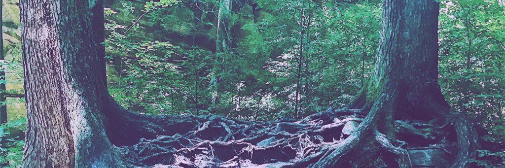ConfusedBInns's profile banner image