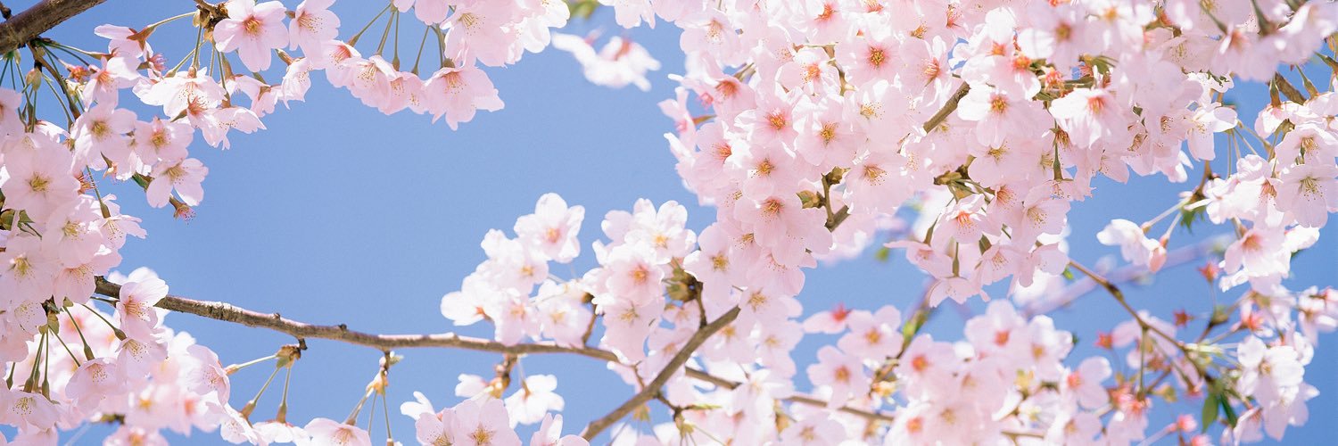 StaceyLogan89's profile banner image