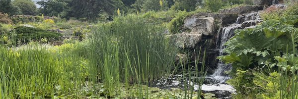 DebbieAElsom Profile Banner