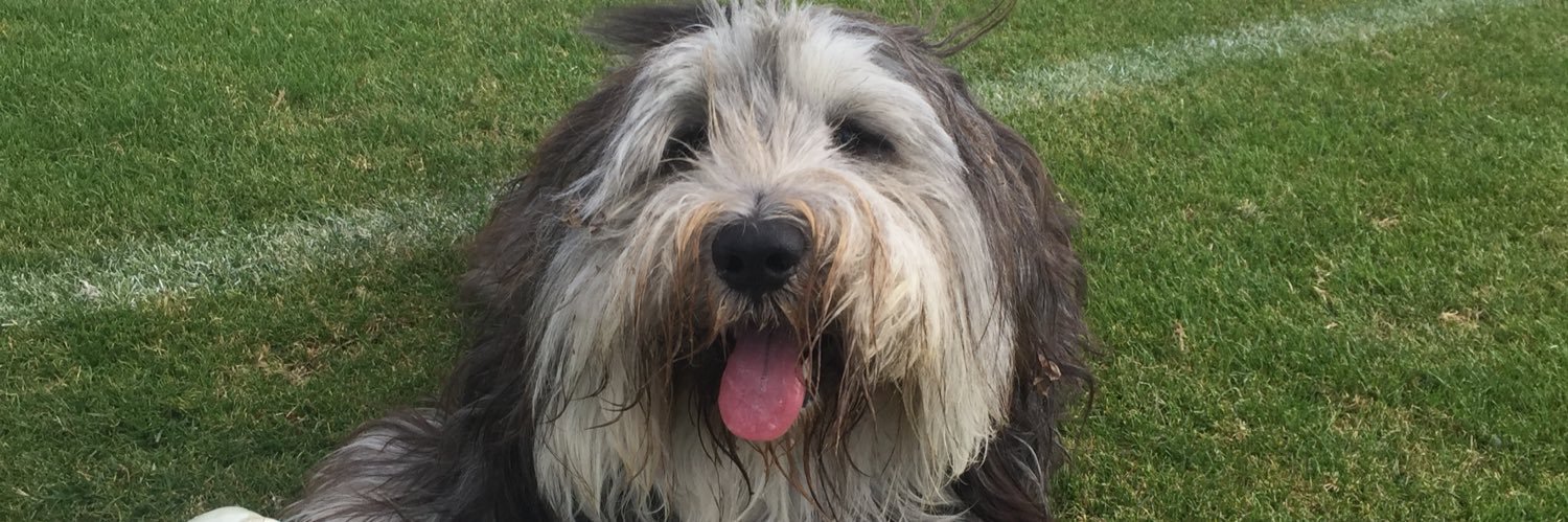 TobyDJHorse's profile banner image