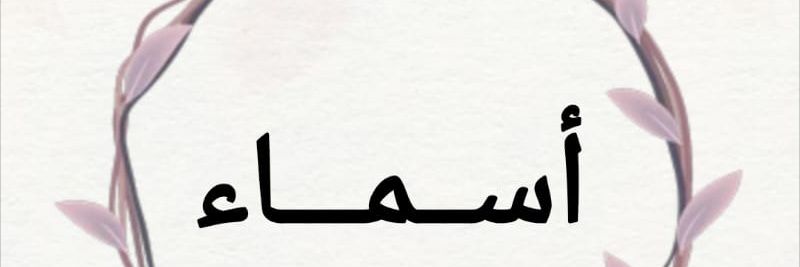 semsemAmer1's profile banner image