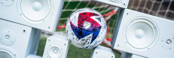 NinaTinari Profile Banner