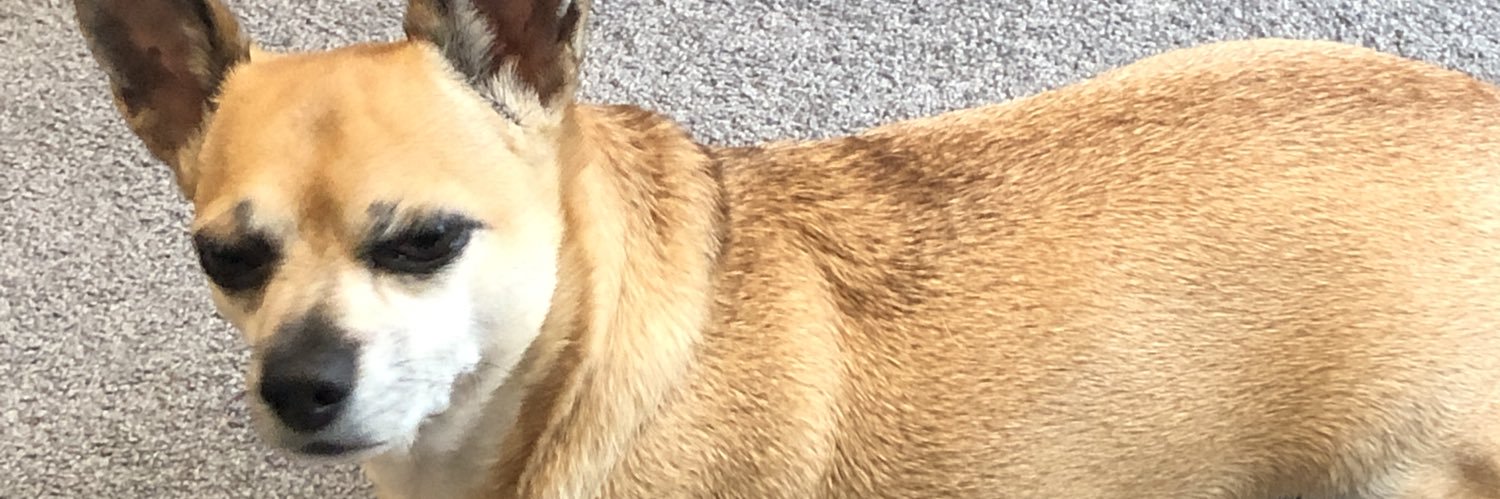Deecb58's profile banner image