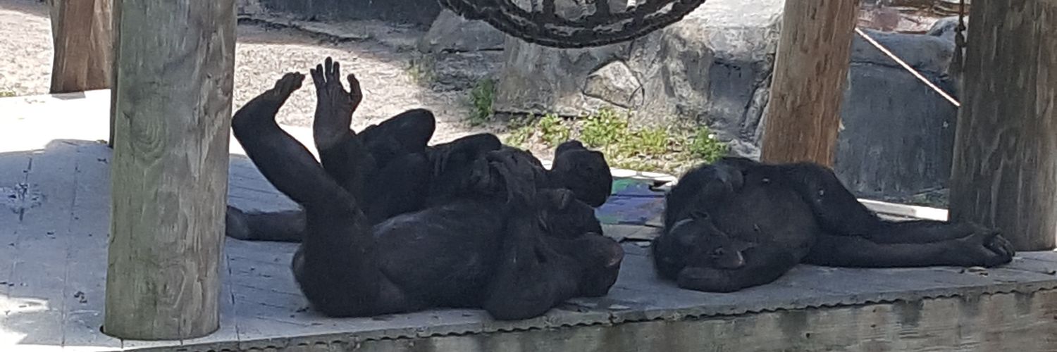 Mel ☯️🙃✌ banner