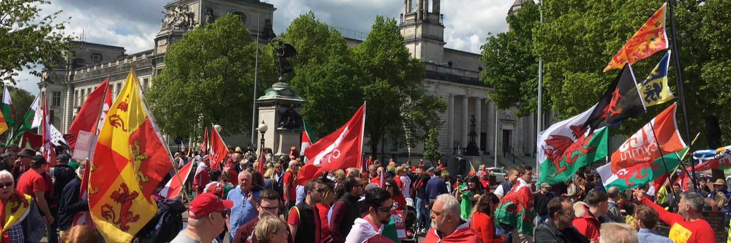 Rhys ap Trefor banner