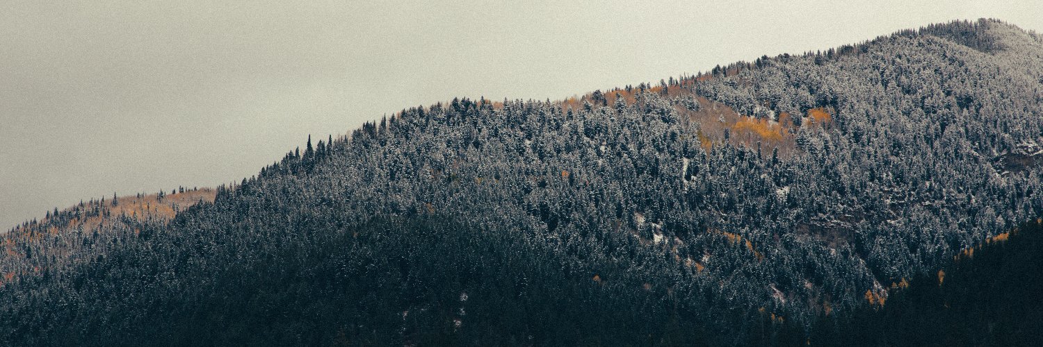 Austin_Lignell's profile banner image