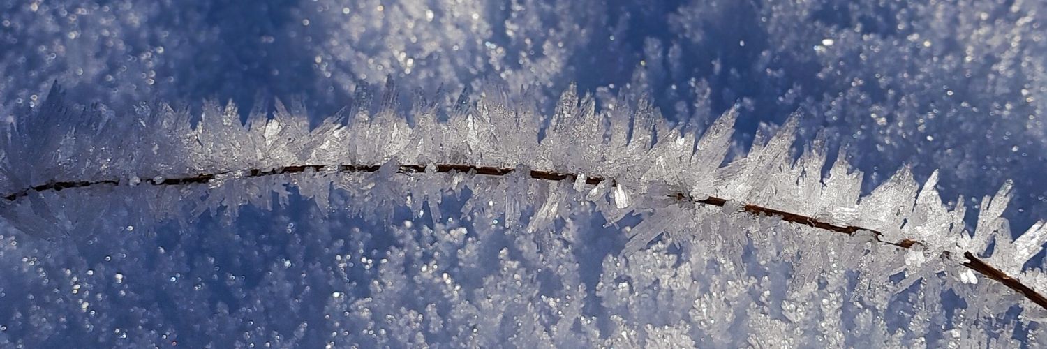 kkimia22's profile banner image