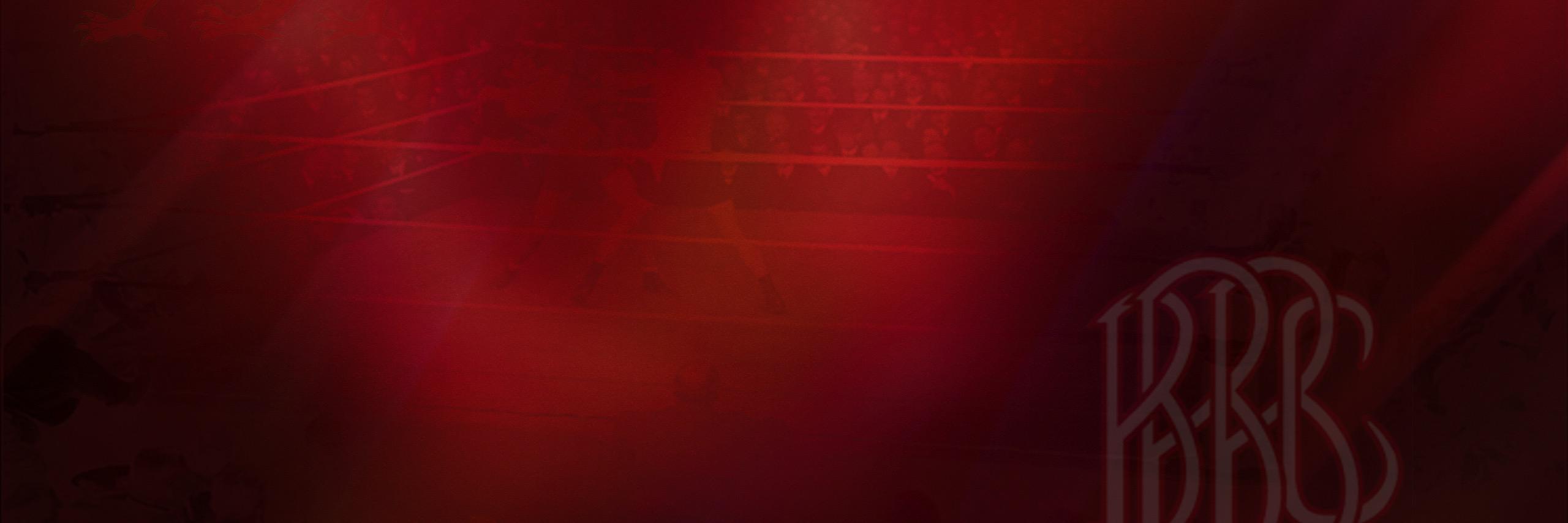 Welsh Boxing Awards banner
