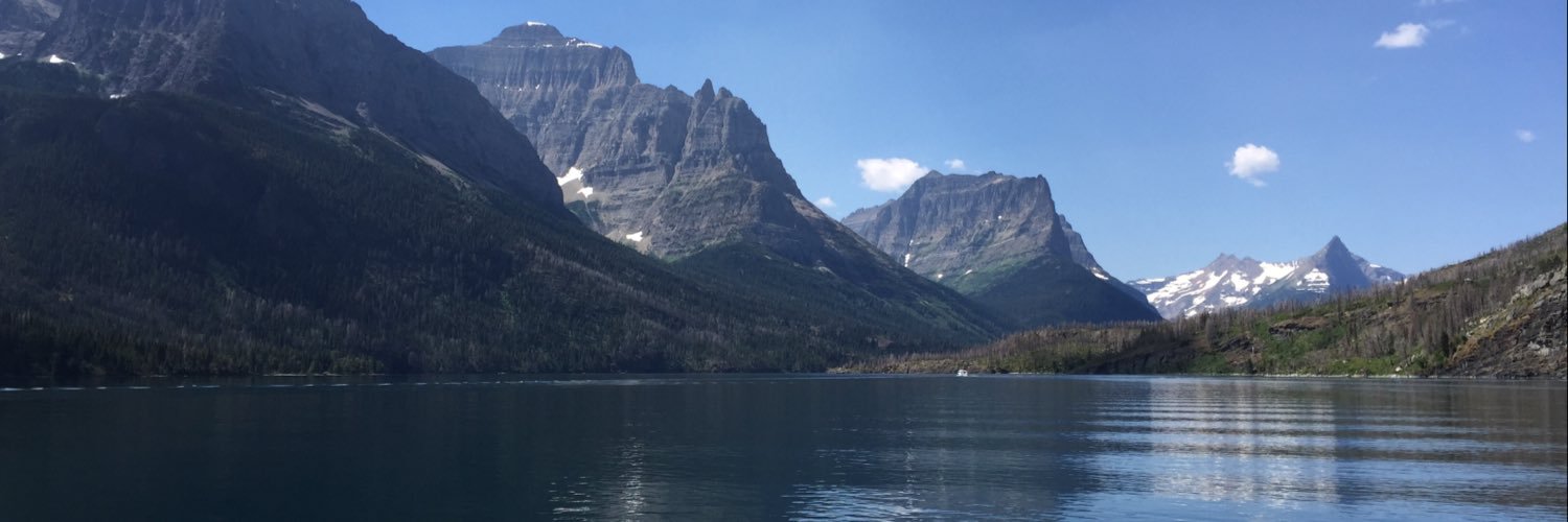 Ian David Pedley banner