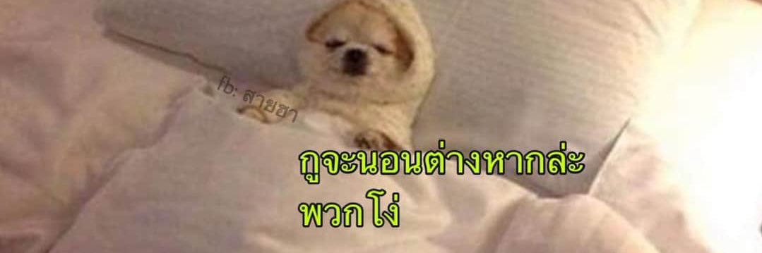 ยิยิน ૮◍⁰ᯅ⁰◍ა banner