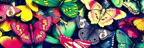 Elisa_loreto's profile banner image