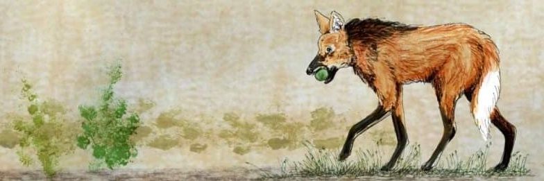 Kate Whittington banner