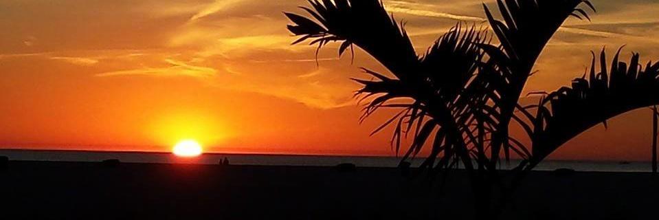 fins91's profile banner image