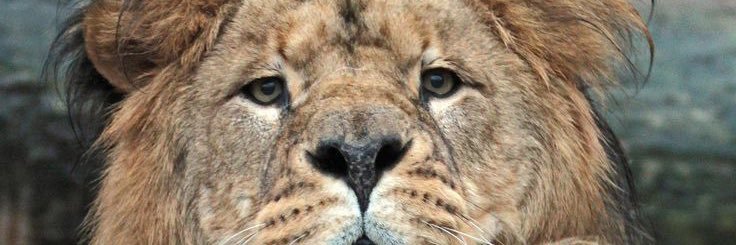 benace_ygor's profile banner image