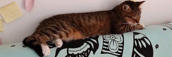 Eppichicca Profile Banner