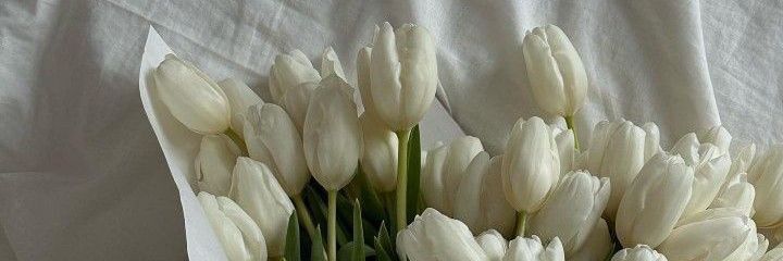 alee fh robux apprem opress🖇️ banner