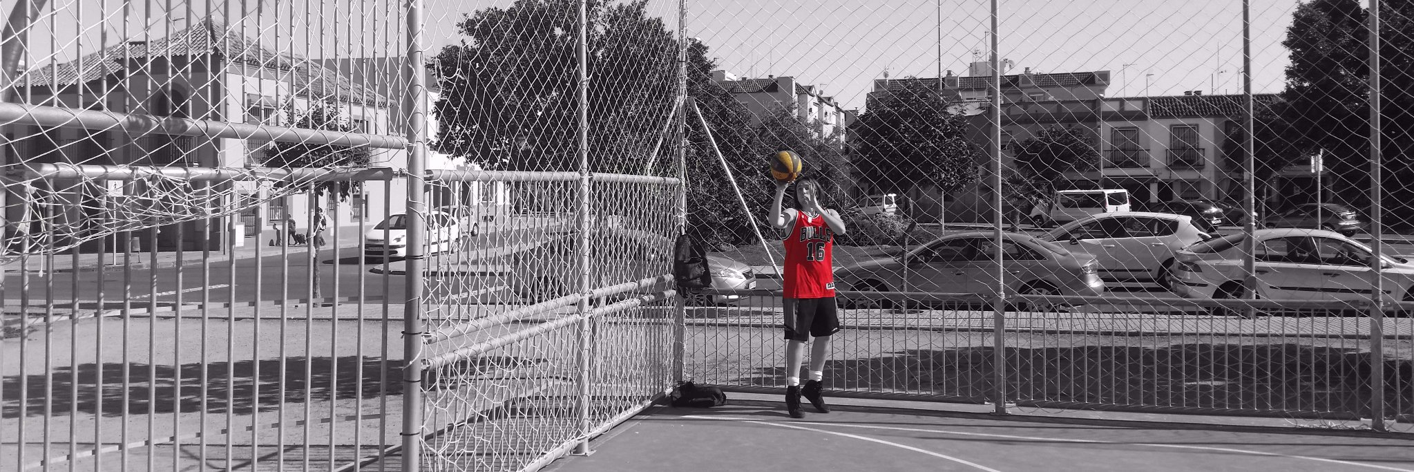 Don Segura © banner