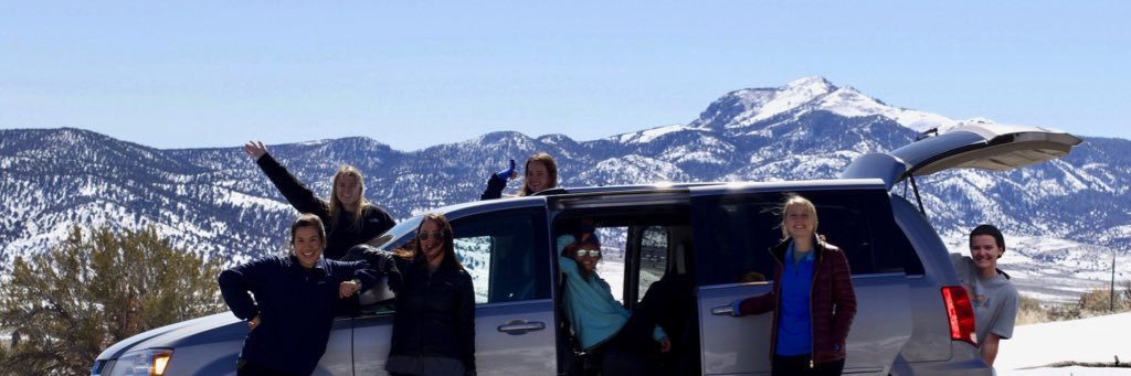 cydneyglasser's profile banner image