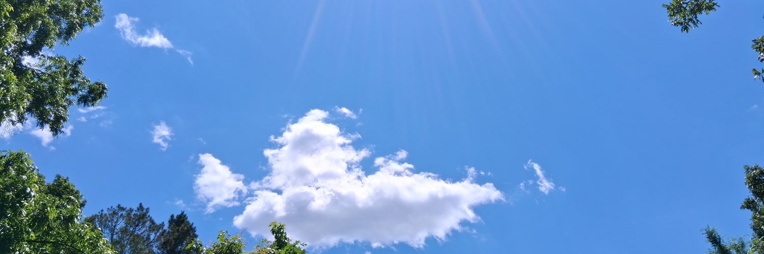lldesignes's profile banner image