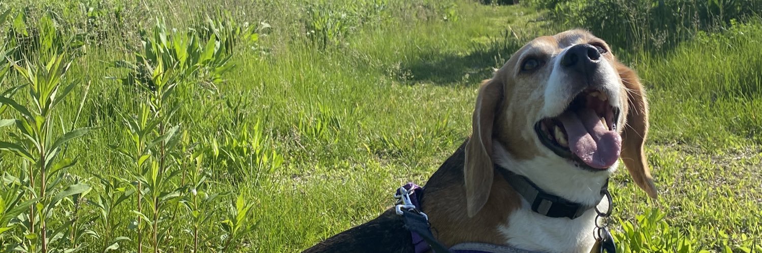 hannahvanamber's profile banner image