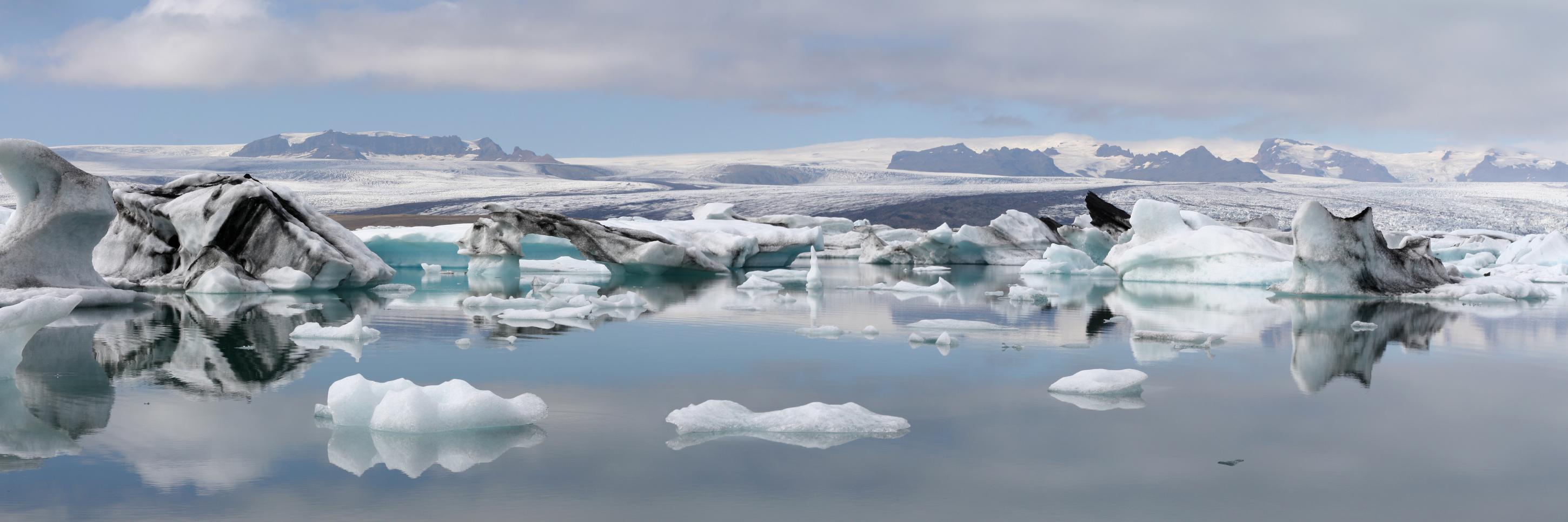 BISA Environment WG banner