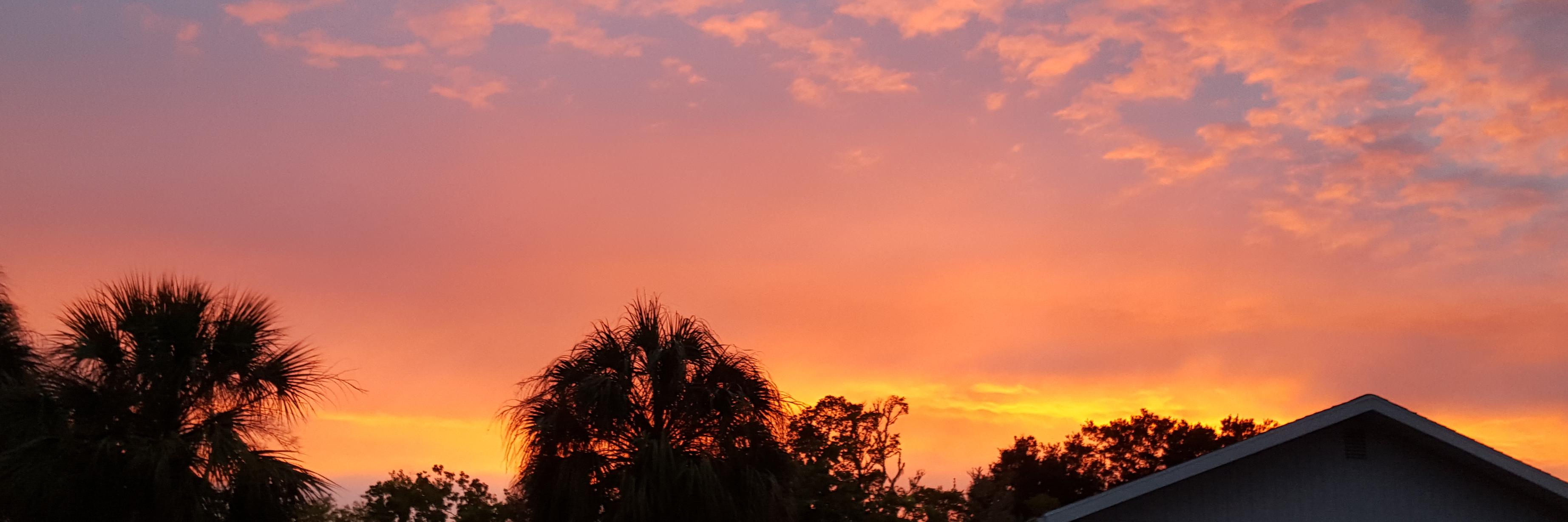 therealSSPhone's profile banner image