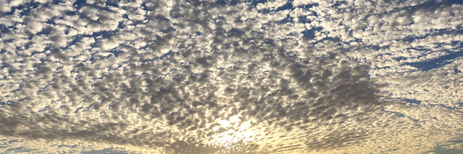 TakenABrake's profile banner image