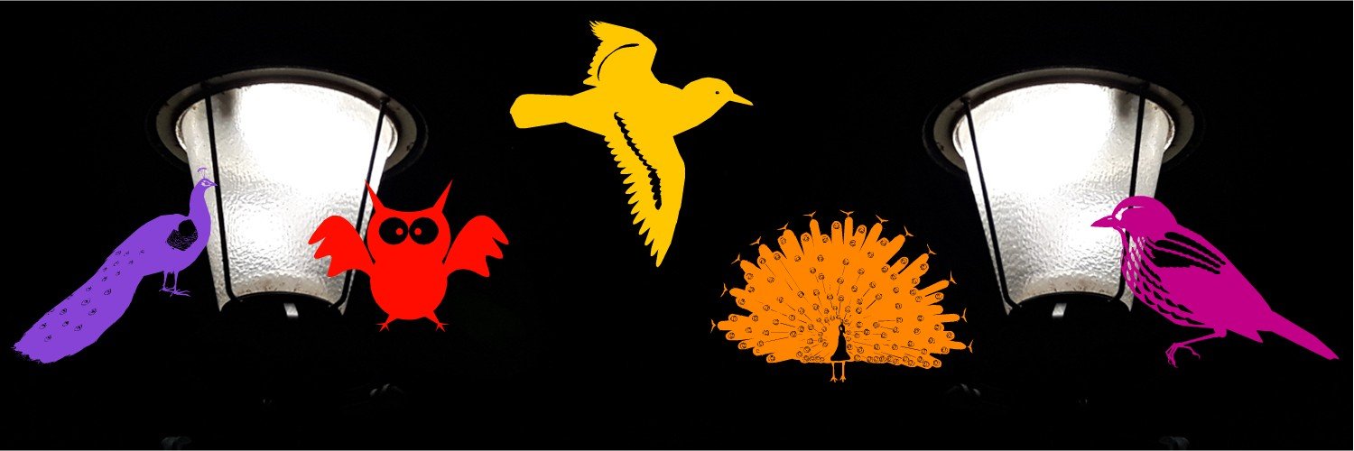 zo_anja's profile banner image