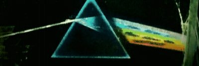 TrippinBro's profile banner image