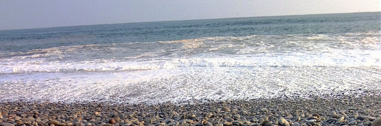 wilmerdrt's profile banner image