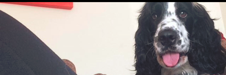 beccagower1's profile banner image