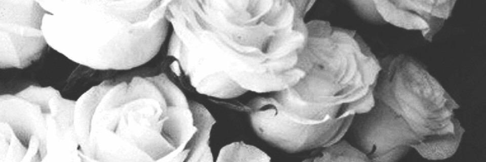 ONHR____'s profile banner image