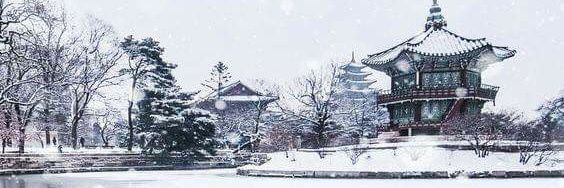 angeline8905's profile banner image