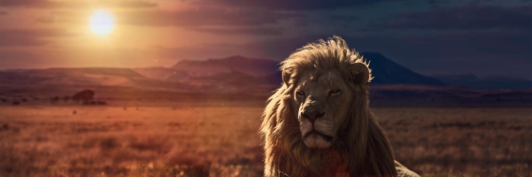 CaptainKyle30's profile banner image