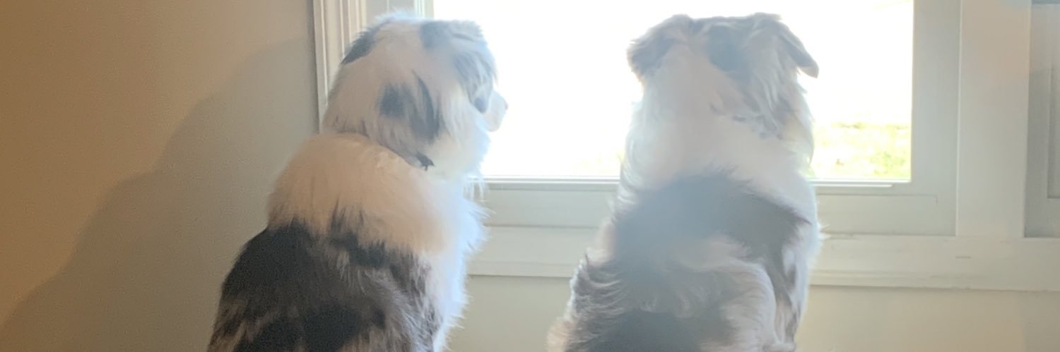 ashmarie_9's profile banner image
