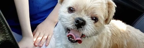 Trixie61 Profile Banner