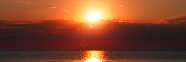 all_arms Profile Banner