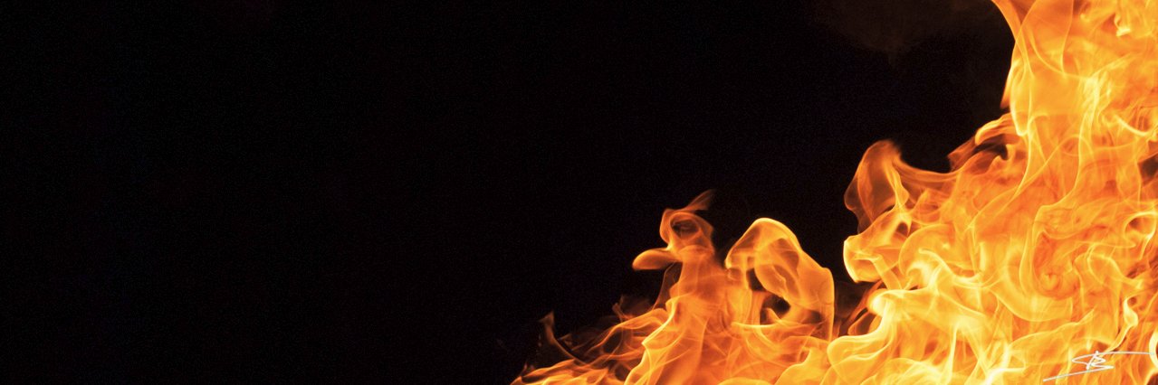 timberghoff's profile banner image