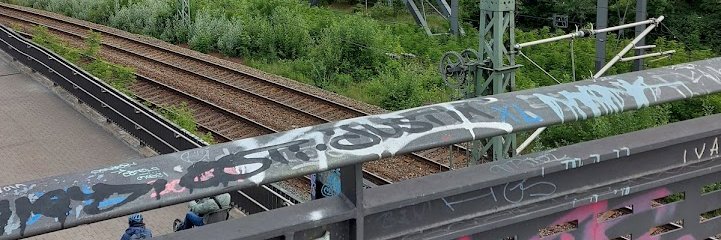 Alexander McColl banner