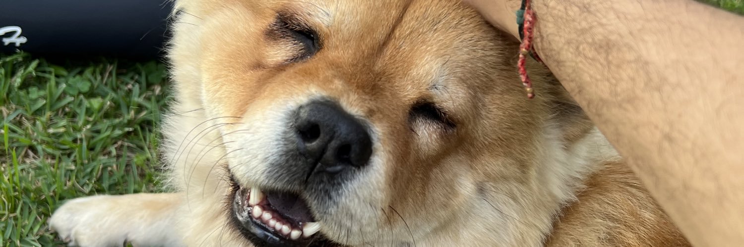 agenthuitsix's profile banner image