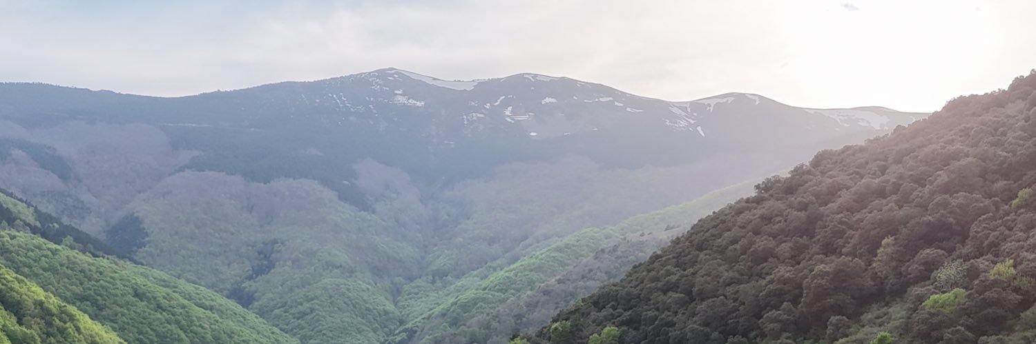 franmagar's profile banner image